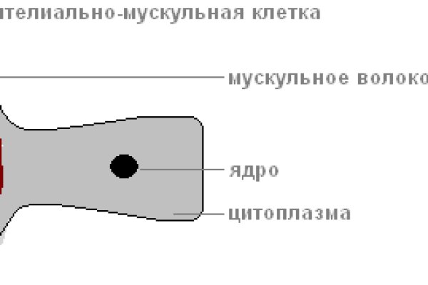 Кракен современный даркнет