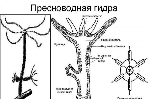 Кракен даркнет площадка ссылка